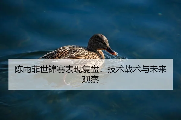 陈雨菲世锦赛表现复盘：技术战术与未来观察