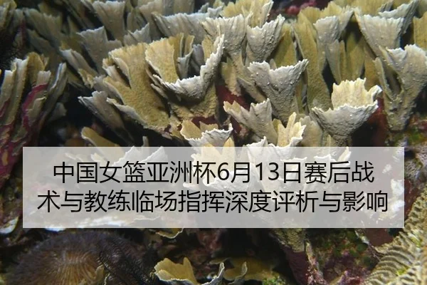 zhong-guo-nv-lan-ya-zhou-bei-yue-ri-sai-hou-zhan-shu-yu-jiao-lian-lin-chang-zhi-hui-shen-du-ping-xi-yu-ying-xiang-2-586.jpg